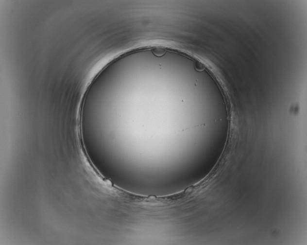 X0000111211199200907011436