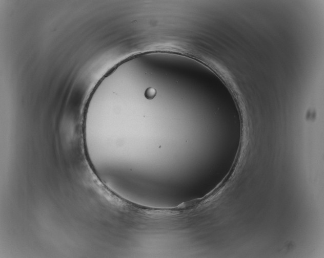 X0000111211200200907011436