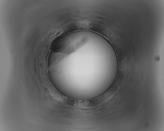 X0000111211201200907011435