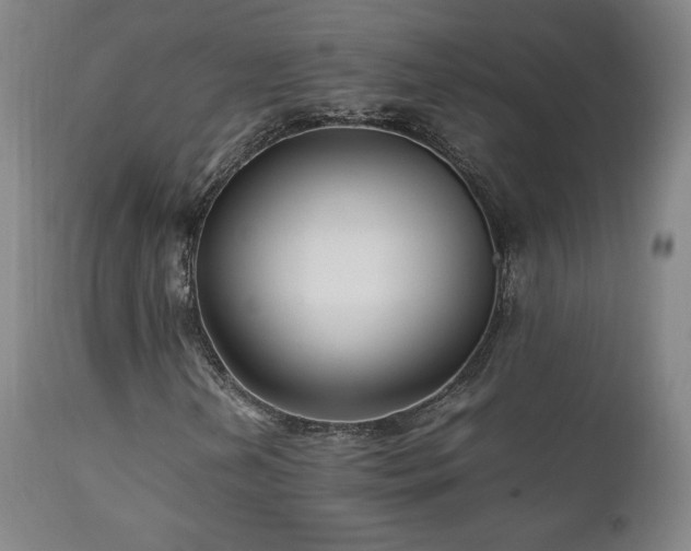 X0000111211202200907011435