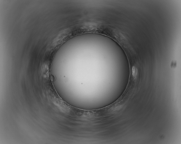 X0000111211203200907011435