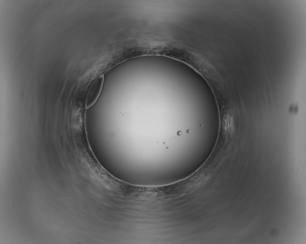 X0000111211204200907011435