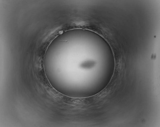 X0000111211205200907011435