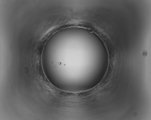 X0000111211206200907011435