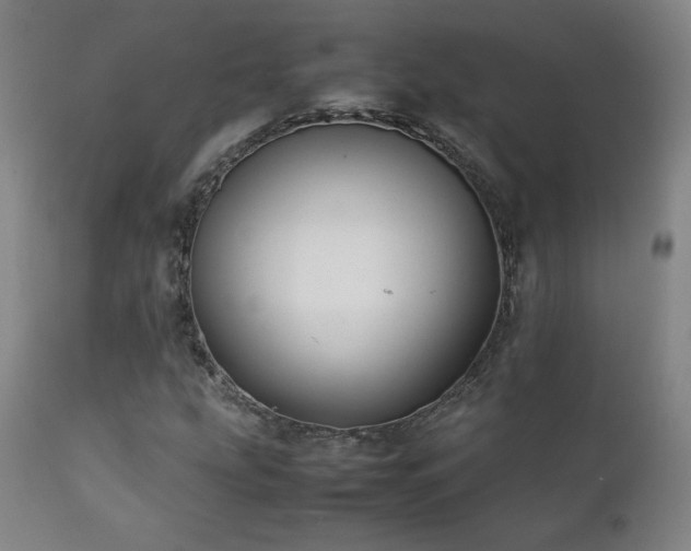 X0000111211207200907011435