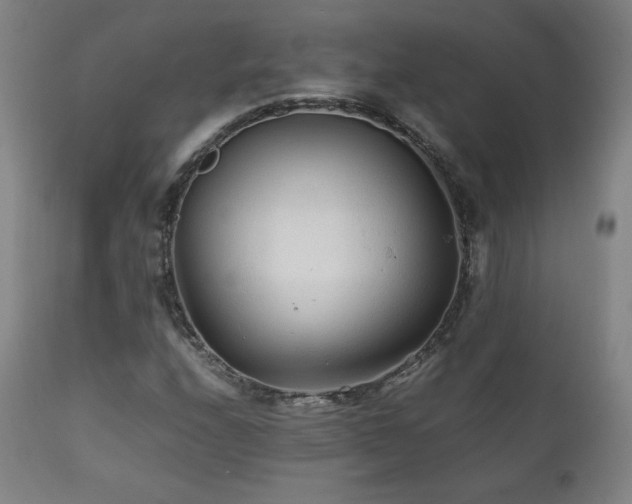 X0000111211208200907011435