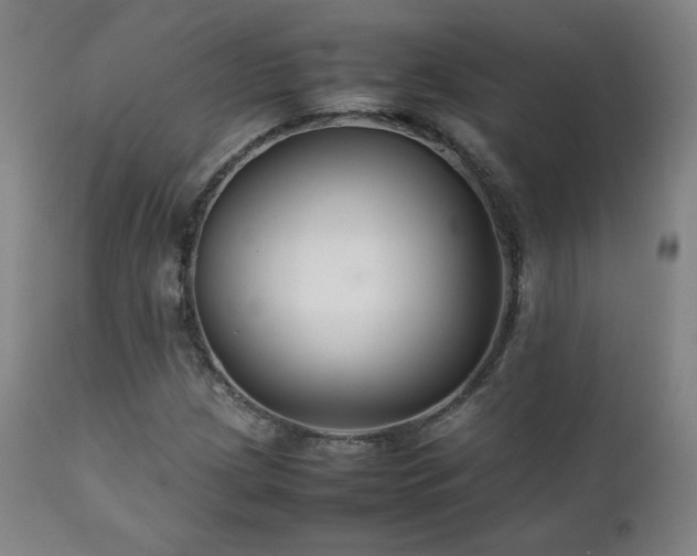 X0000111211209200907011435