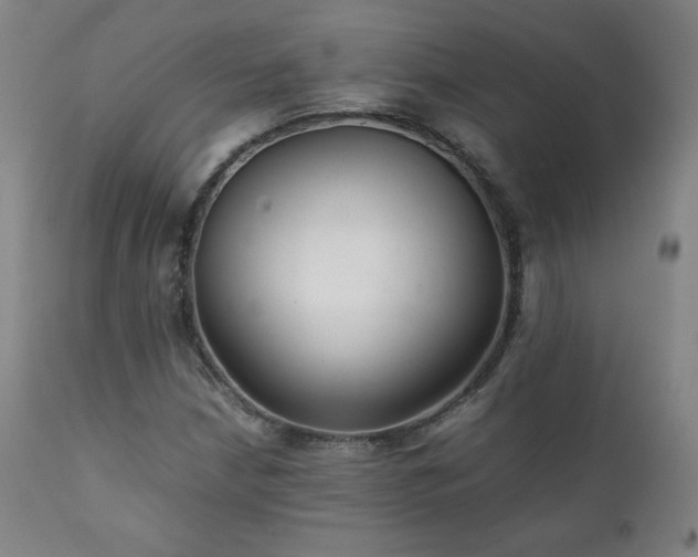 X0000111211210200907011435