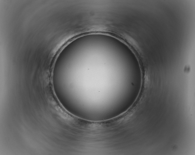 X0000111211212200907011435