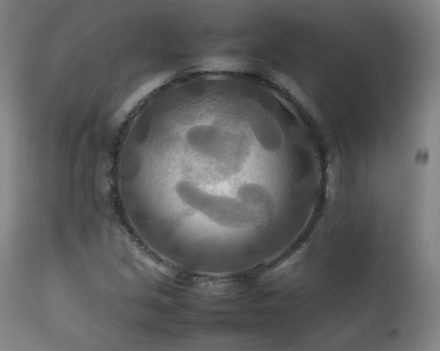 X0000111211213200907011435