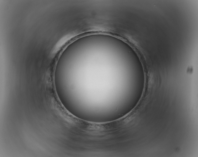 X0000111211215200907011435