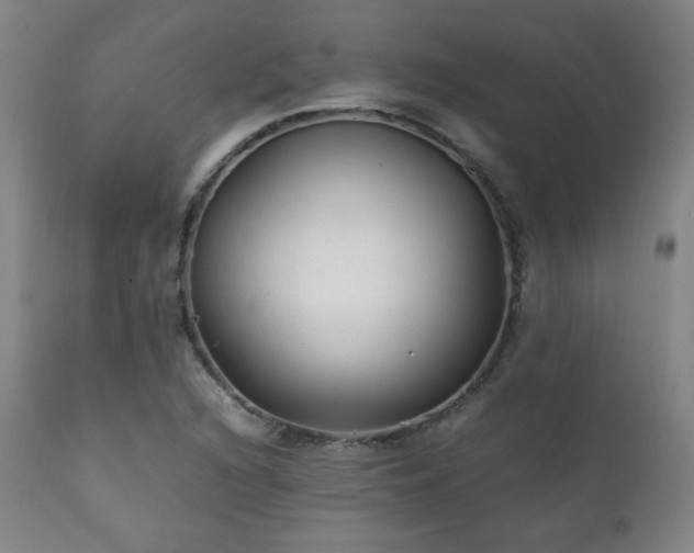 X0000111211216200907011435