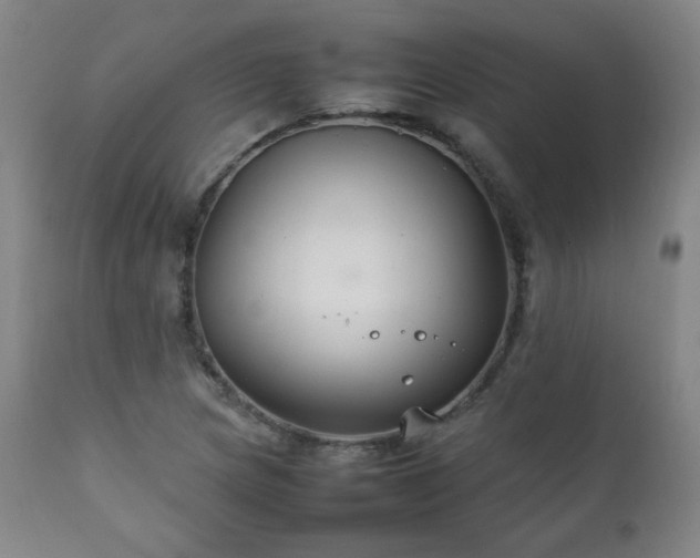 X0000111211217200907011435