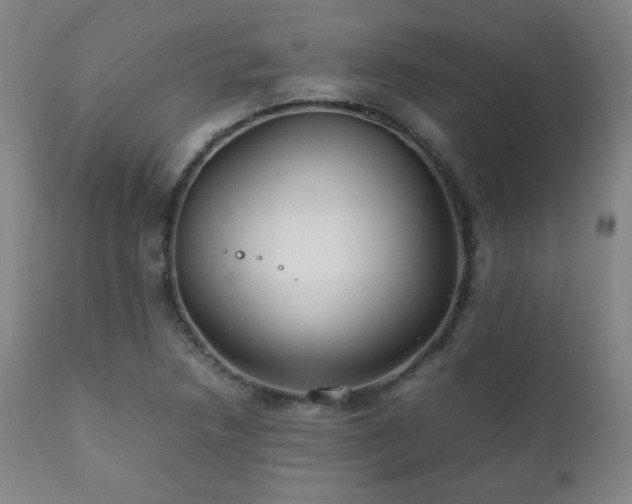 X0000111211218200907011435