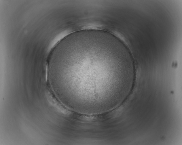 X0000111211219200907011435