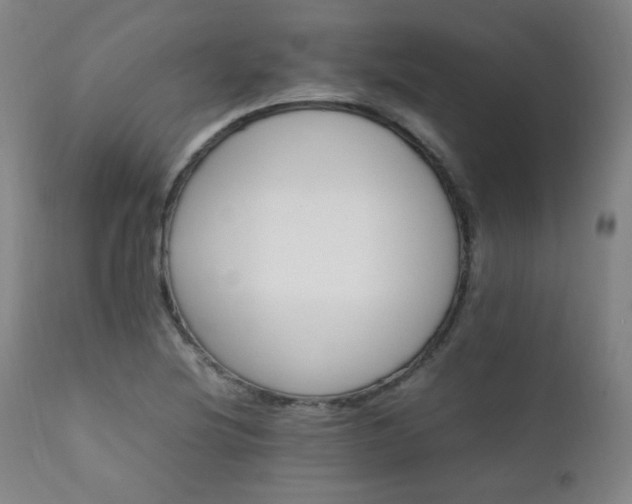 X0000111211220200907011435