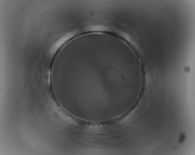 X0000111211221200907011435