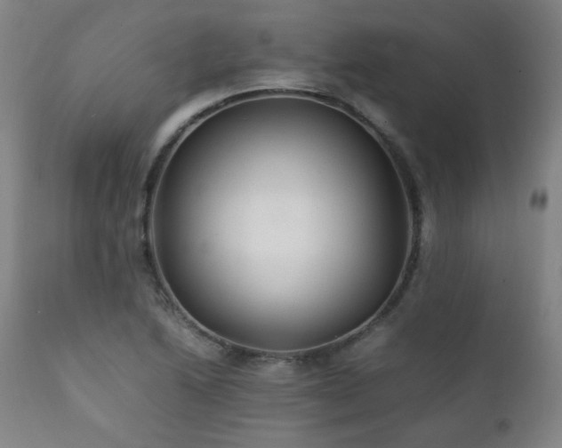 X0000111211222200907011435