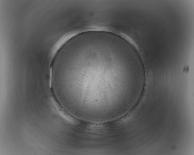 X0000111211223200907011435