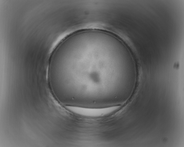 X0000111211224200907011435