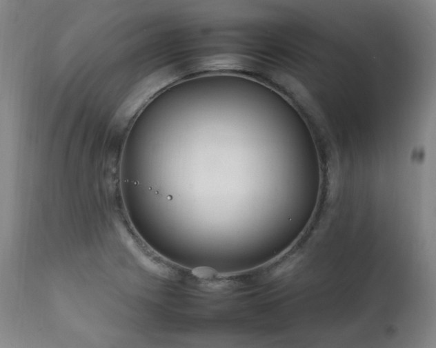 X0000111211225200907011435