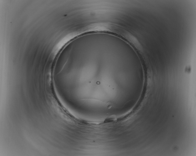 X0000111211226200907011435