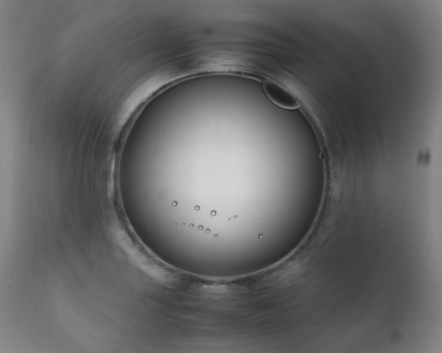 X0000111211227200907011435