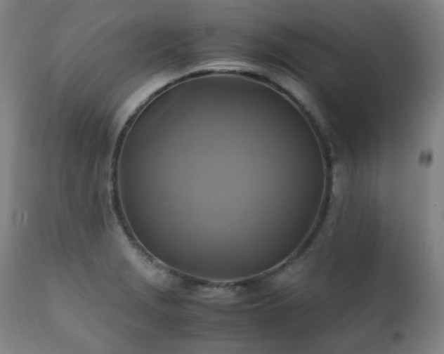 X0000111211229200907011435