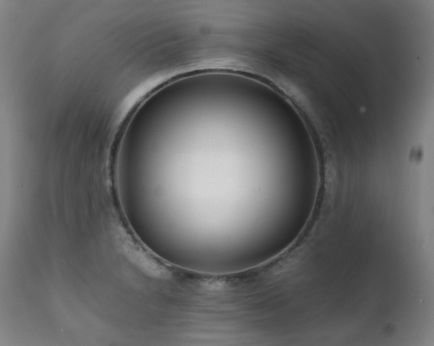 X0000111211230200907011435