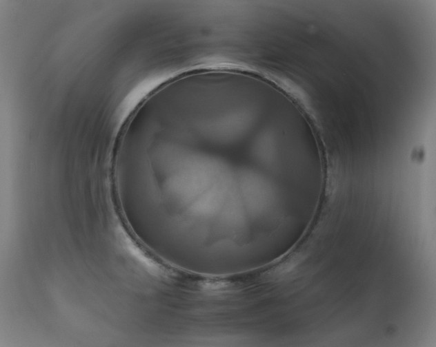 X0000111211231200907011435