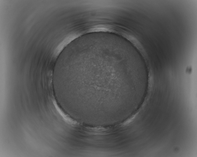 X0000111211233200907011435