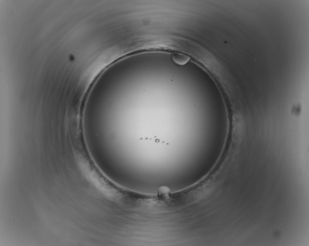 X0000111211234200907011435