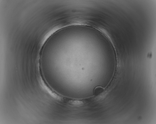 X0000111211235200907011435