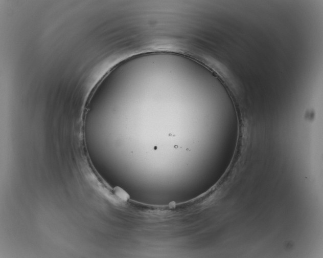 X0000111211236200907011435