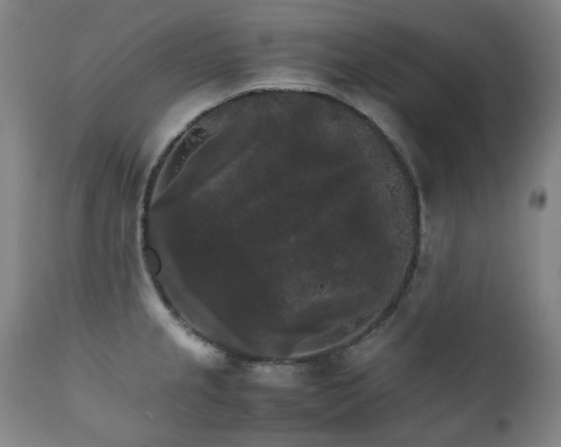 X0000111211237200907011435