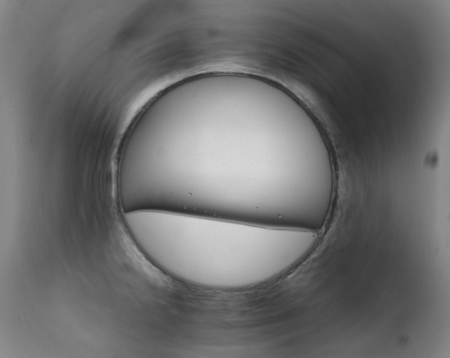 X0000111211238200907011435