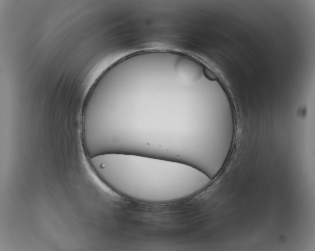 X0000111211239200907011435