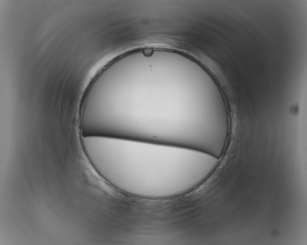 X0000111211240200907011435