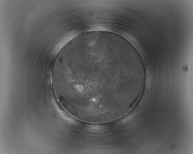 X0000111211241200907011435