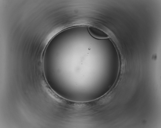 X0000111211242200907011435