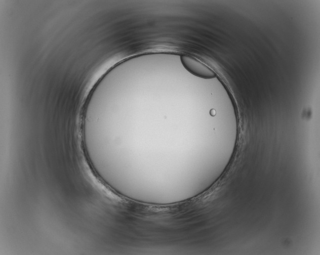 X0000111211243200907011435