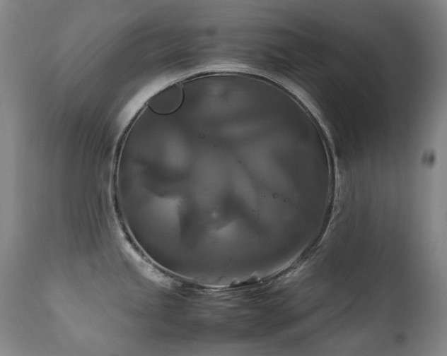 X0000111211245200907011436