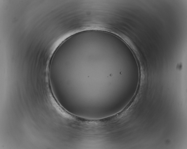 X0000111211246200907011436