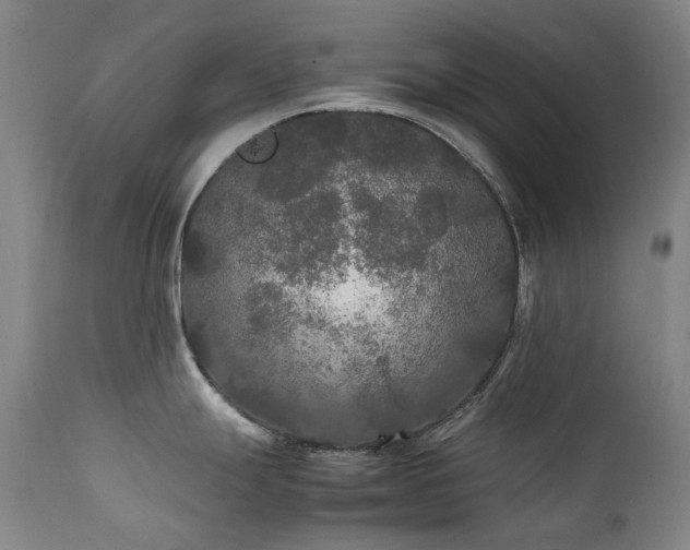 X0000111211247200907011436