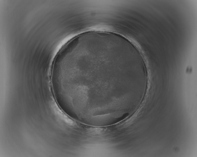 X0000111211248200907011436