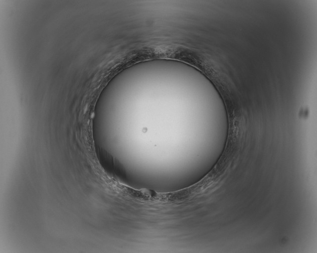 X0000111211249200907011435