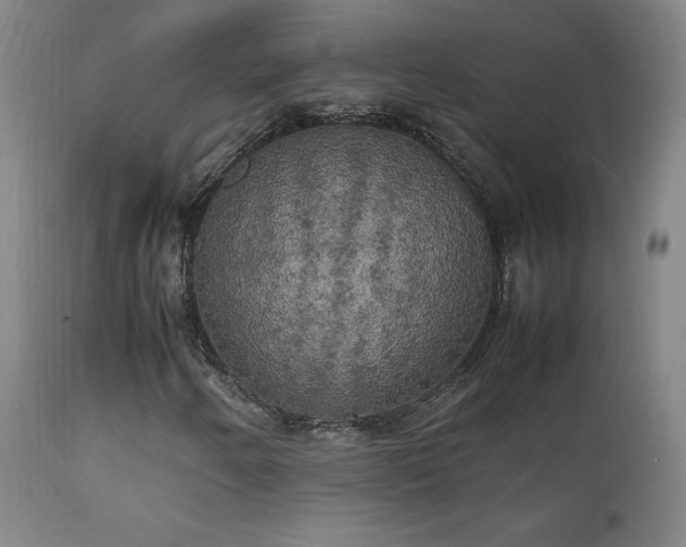 X0000111211250200907011435