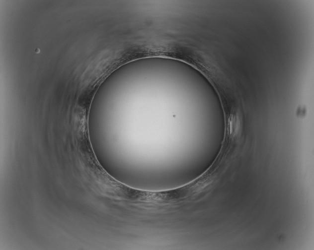 X0000111211251200907011435