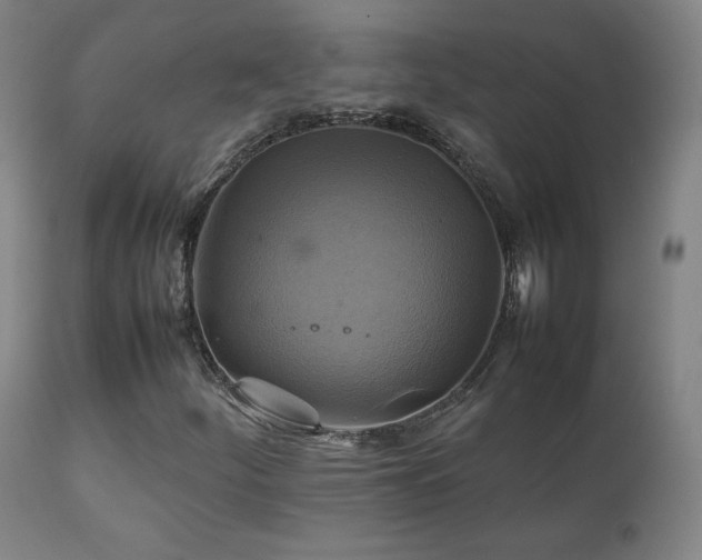 X0000111211252200907011435