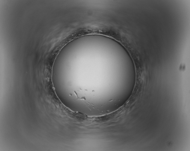 X0000111211253200907011435